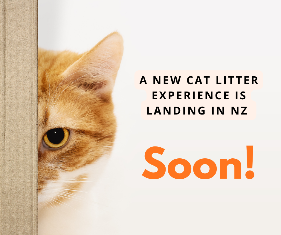 Latutu Hybrid Nature Cat Litter, Powerful Odour Control,  Gentle on Paws